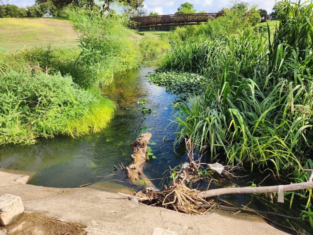 River Road Aquatic Ecosystem Restoration